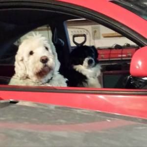 Meet your Posher, Karl